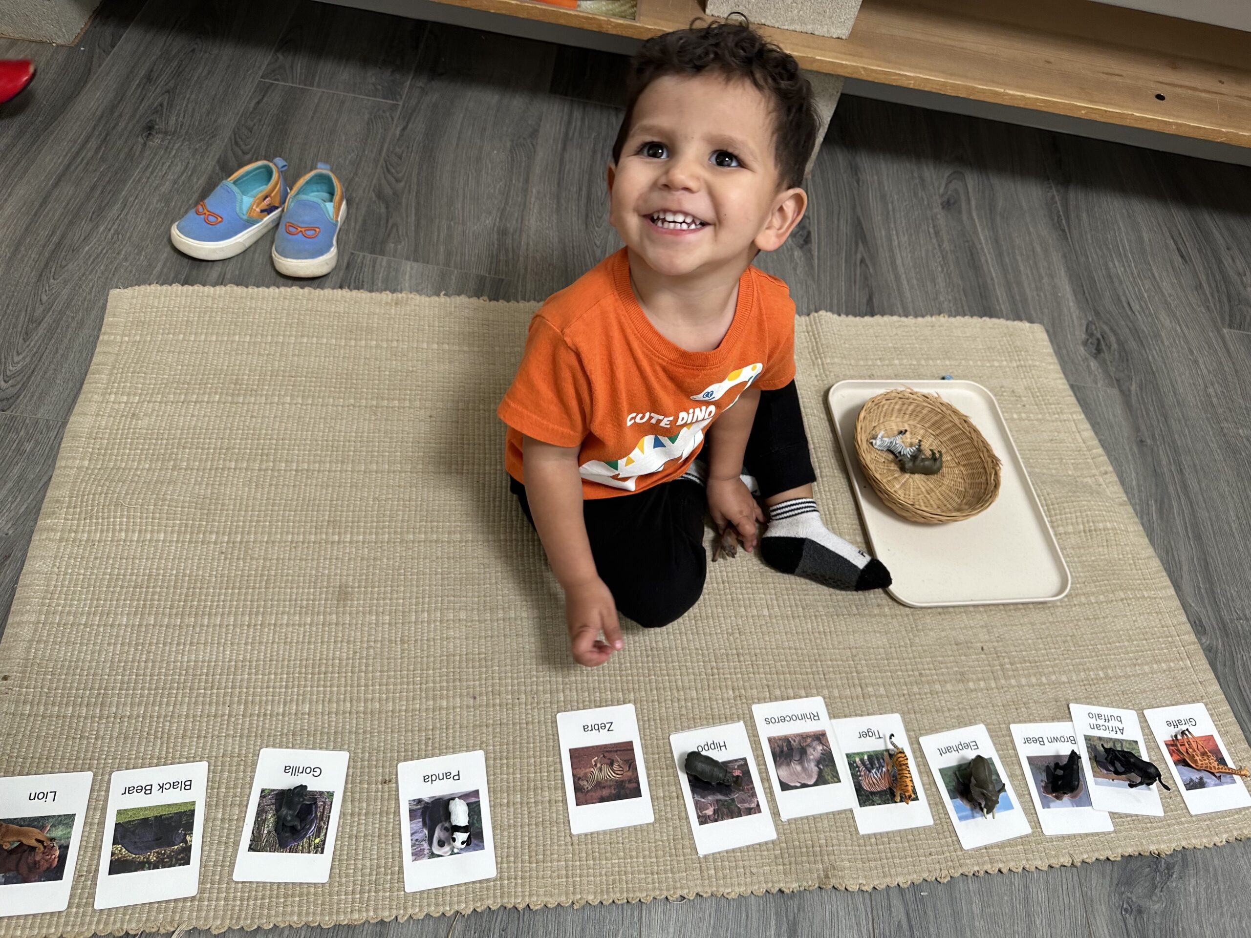 Montessori-Inspired Learning 